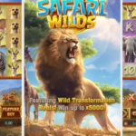 มารู้จัก "Safari Wild" Auto Slot เกมใหม่ โดย (Auto Slot PG) 4 Safa Auto Slot PG .com เว็บตรง สล็อต PG อันดับ 1 ฝากถอนออโต้ มั่นคง ปลอดภัย