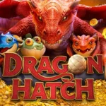 รีวิว Dragon Hatch ฉบับ Masterclass! วิเคราะห์กลไกการสะสมสัญลักษณ์และเทคนิคเรียกราชินีมังกรบน สล็อต xo24 3 dragon hatch 3 web 3 Auto Slot PG .com เว็บตรง สล็อต PG อันดับ 1 ฝากถอนออโต้ มั่นคง ปลอดภัย