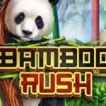 Bamboo rush 1 web 1 PG STAR .com เว็บตรง สล็อต PG อันดับ 1 ฝากถอนออโต้ มั่นคง ปลอดภัย