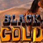 BlackGold 2 web 2 PG STAR .com เว็บตรง สล็อต PG อันดับ 1 ฝากถอนออโต้ มั่นคง ปลอดภัย