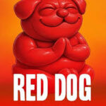 คู่มือเล่น Red Dog (In-Between) ฉบับสมบูรณ์ ปลอดภัยผ่าน slotxo pg ปี 2026 4 reddog 10 PG STAR .com เว็บตรง สล็อต PG อันดับ 1 ฝากถอนออโต้ มั่นคง ปลอดภัย